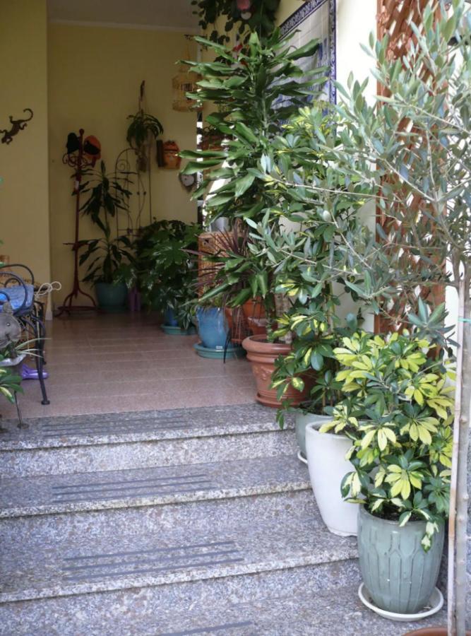 Lovely Flat In Northern Sardinia 발레도리아 외부 사진