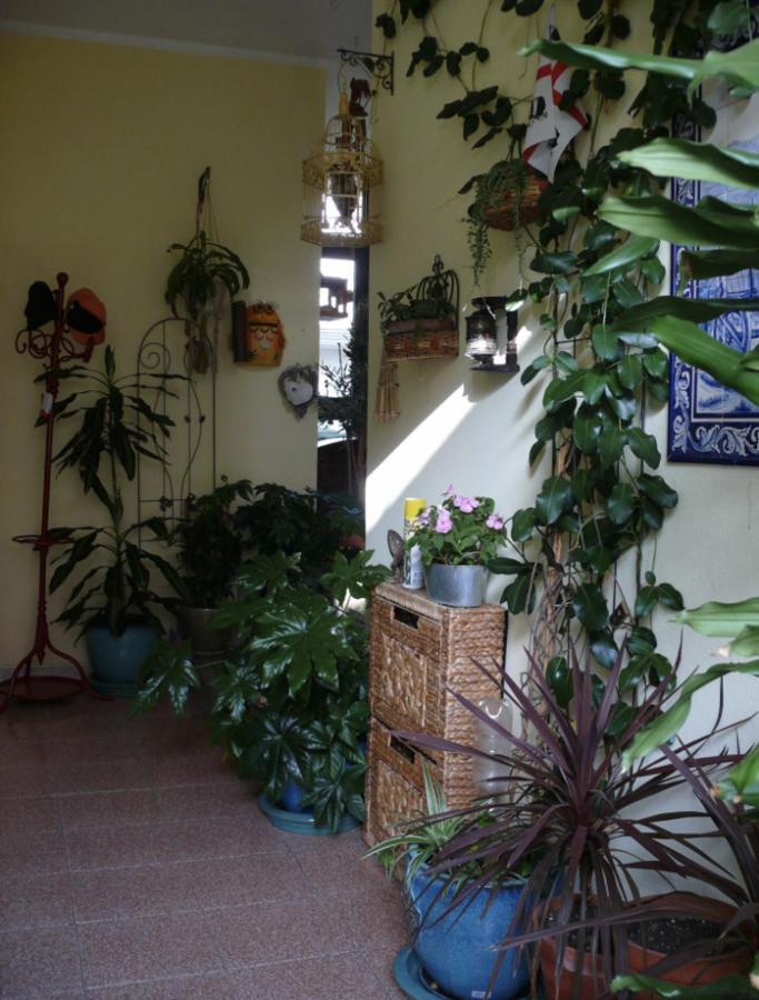 Lovely Flat In Northern Sardinia 발레도리아 외부 사진