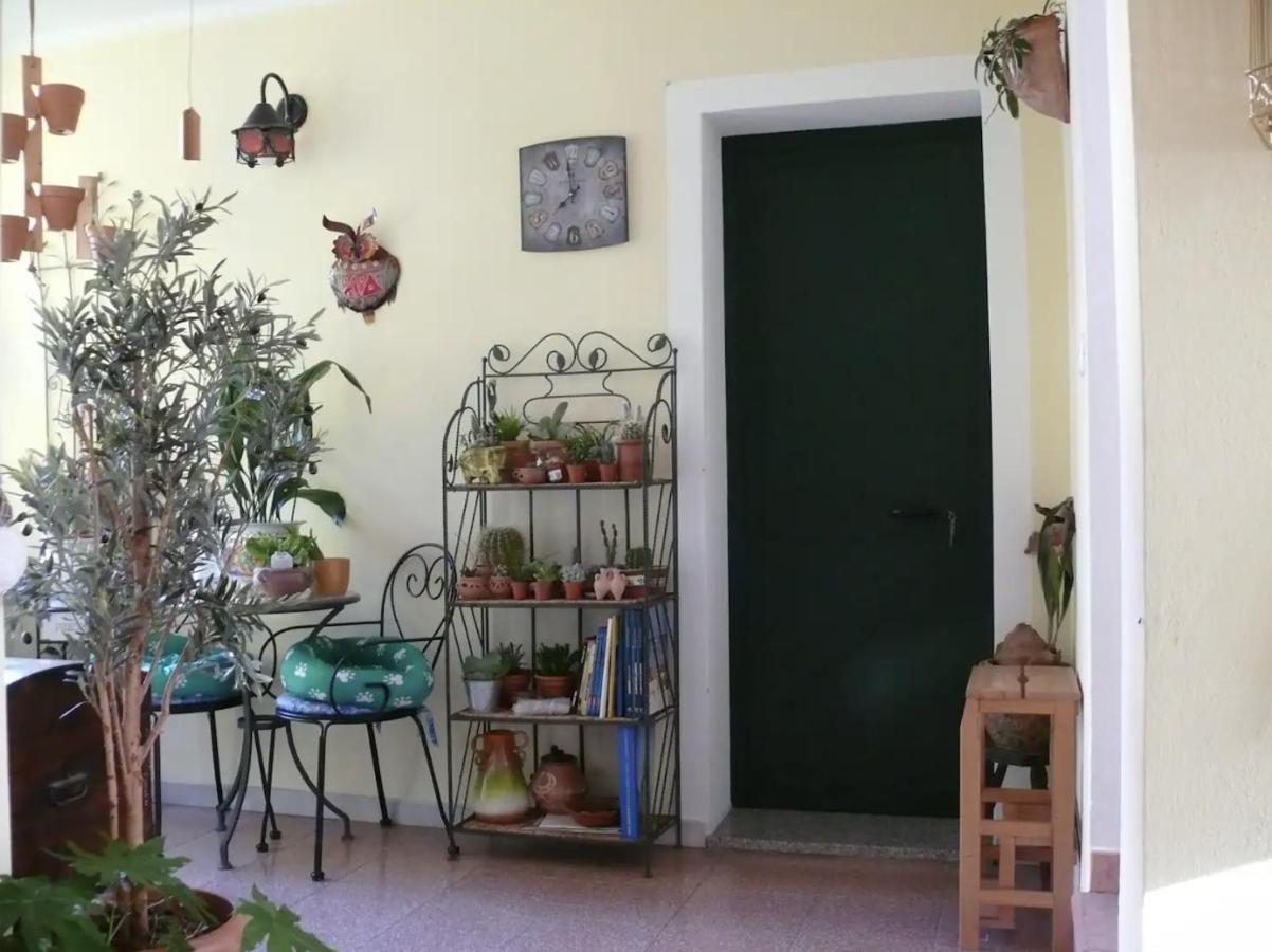 Lovely Flat In Northern Sardinia 발레도리아 외부 사진