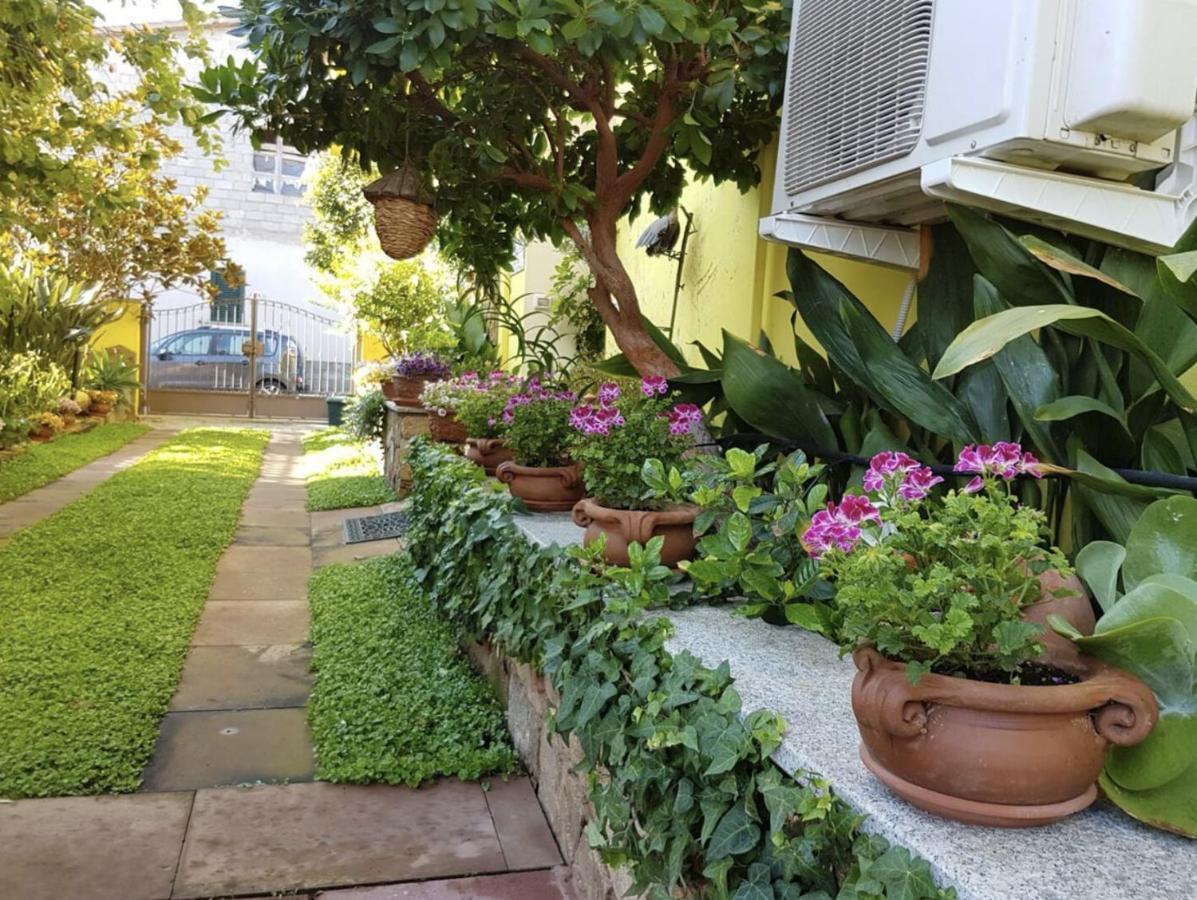 Lovely Flat In Northern Sardinia 발레도리아 외부 사진