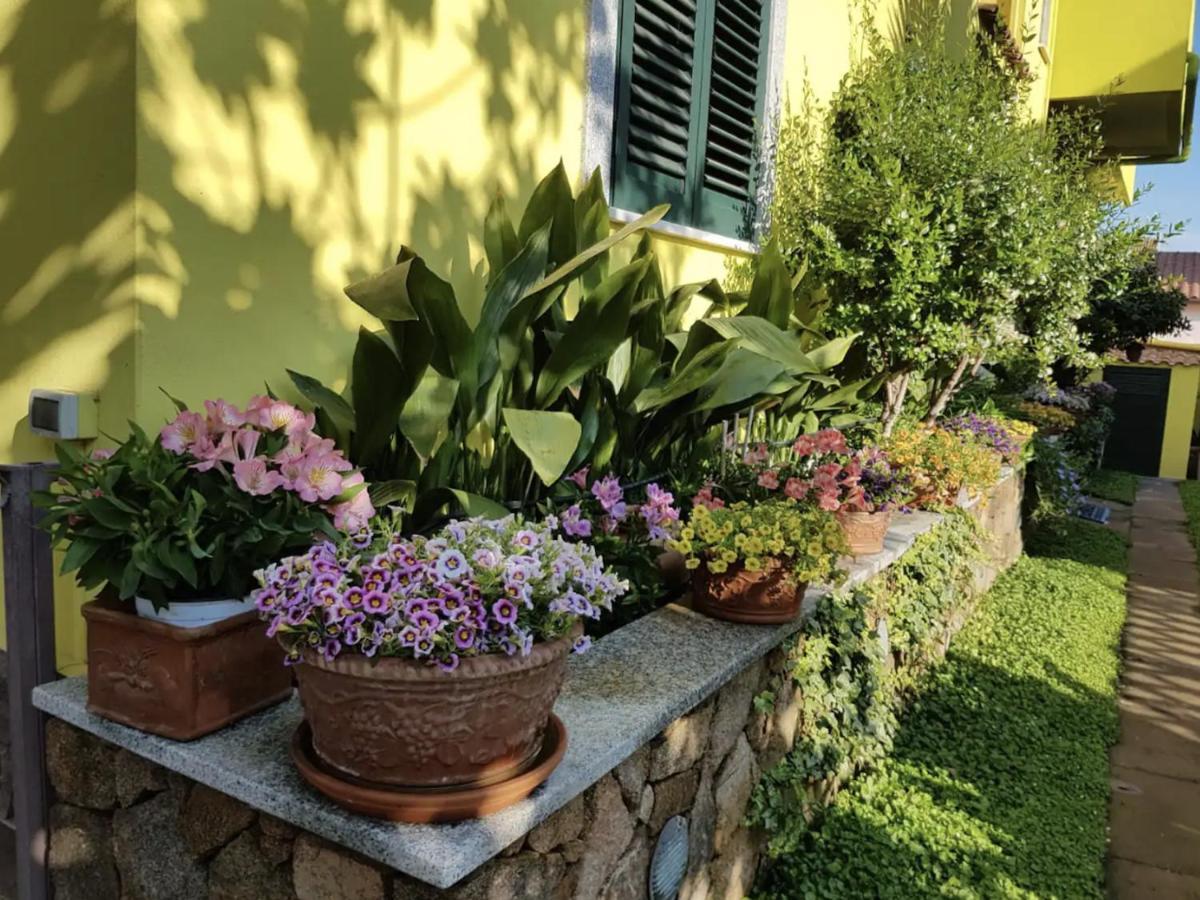 Lovely Flat In Northern Sardinia 발레도리아 외부 사진