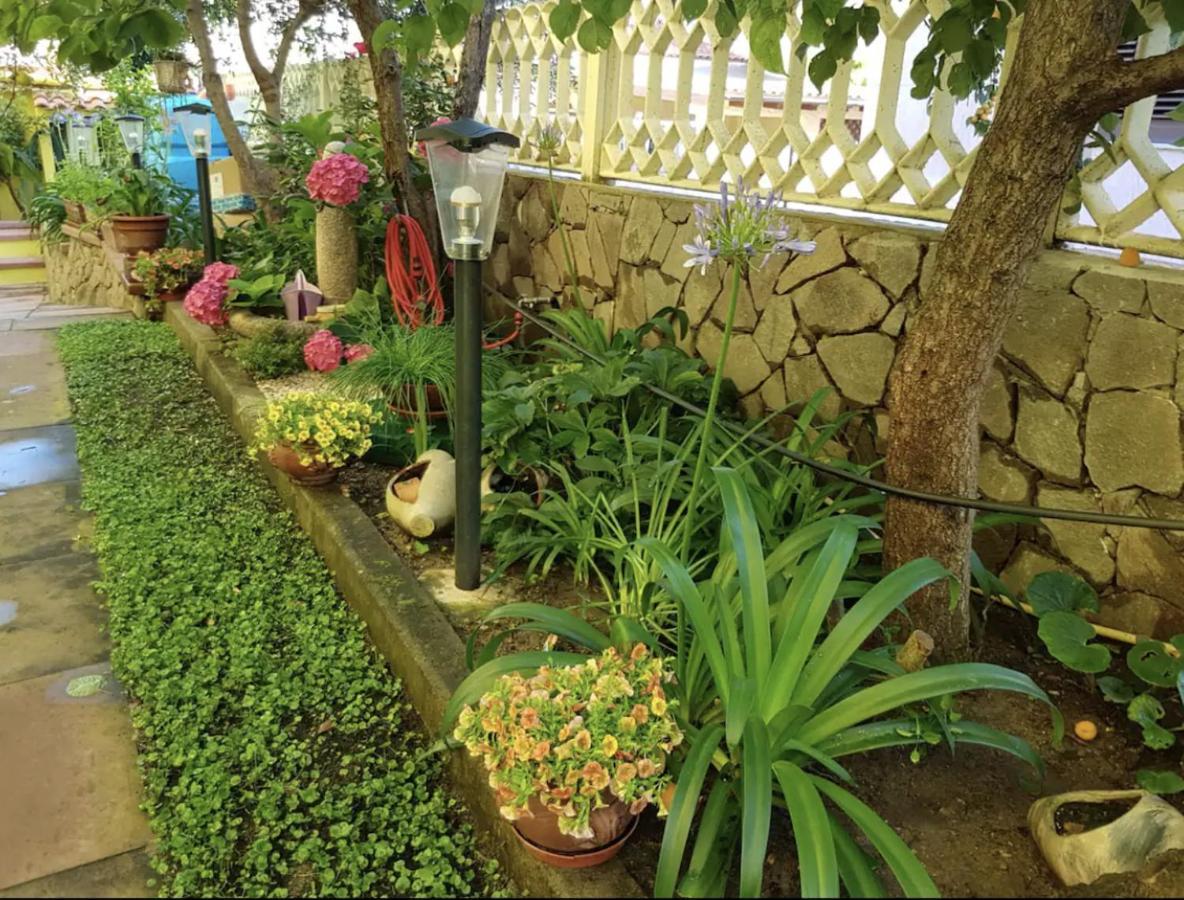 Lovely Flat In Northern Sardinia 발레도리아 외부 사진