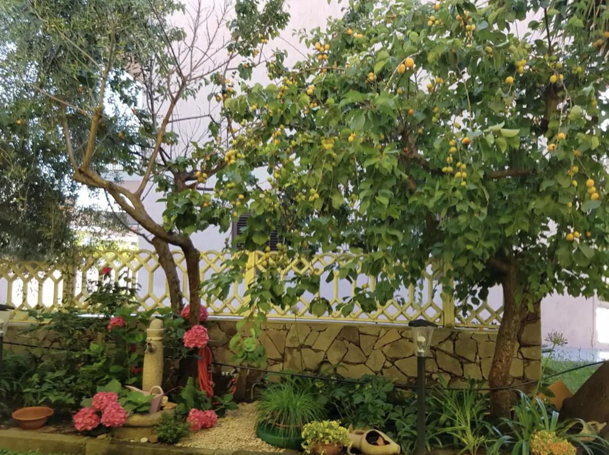 Lovely Flat In Northern Sardinia 발레도리아 외부 사진
